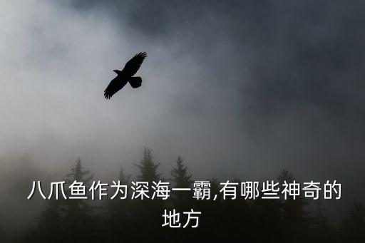 八爪魚軟體機(jī)器人,塞爾達(dá)傳說八爪魚機(jī)器人怎么打
