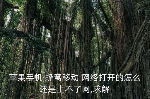 蘋果手機 蜂窩移動 網(wǎng)絡(luò)打開的怎么還是上不了網(wǎng),求解
