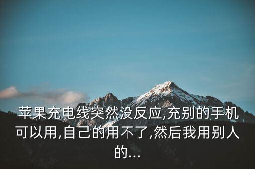  蘋果充電線突然沒反應(yīng),充別的手機(jī)可以用,自己的用不了,然后我用別人的...