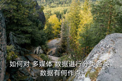如何對 多媒體 數(shù)據(jù)進行分類各類 數(shù)據(jù)有何作點