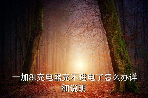  一加8t充電器充不進(jìn)電了怎么辦詳細(xì)說明