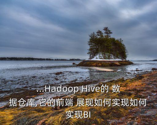 ...Hadoop Hive的 數(shù)據(jù)倉庫,它的前端 展現(xiàn)如何實(shí)現(xiàn)如何實(shí)現(xiàn)BI