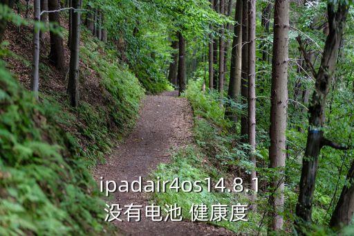  ipadair4os14.8.1沒有電池 健康度