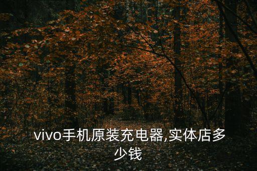  vivo手機(jī)原裝充電器,實(shí)體店多少錢