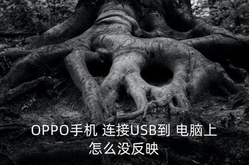 usb數(shù)據(jù)怎么連接電腦沒反應(yīng)怎么辦,數(shù)據(jù)怎么連接電腦使用