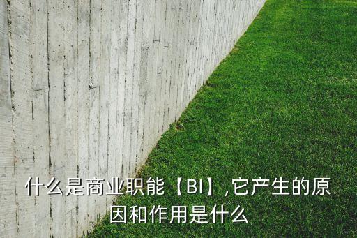 什么是商業(yè)職能【BI】,它產(chǎn)生的原因和作用是什么