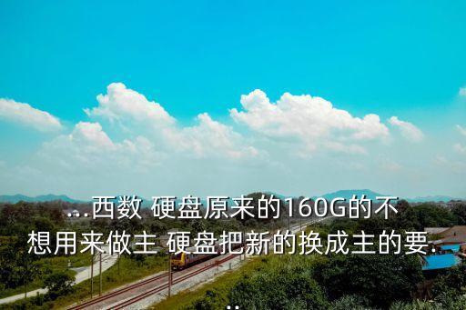 ...西數(shù) 硬盤原來的160G的不想用來做主 硬盤把新的換成主的要...