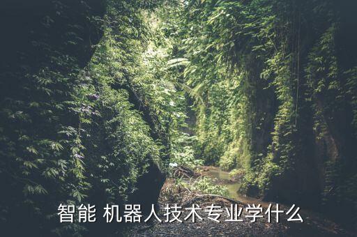  智能 機(jī)器人技術(shù)專業(yè)學(xué)什么
