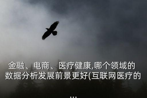 金融、電商、醫(yī)療健康,哪個領(lǐng)域的 數(shù)據(jù)分析發(fā)展前景更好(互聯(lián)網(wǎng)醫(yī)療的...