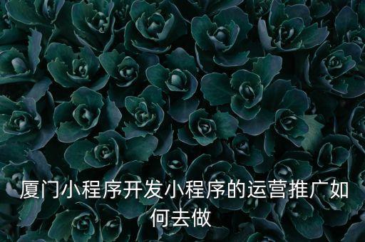  廈門小程序開發(fā)小程序的運(yùn)營推廣如何去做