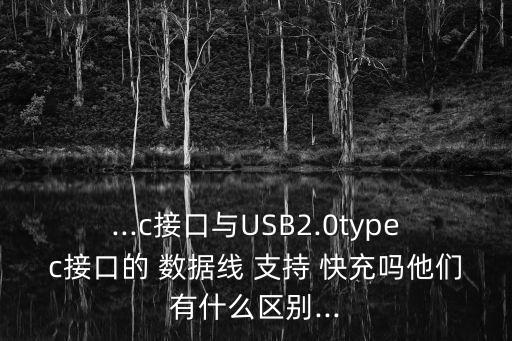 ...c接口與USB2.0typec接口的 數(shù)據(jù)線 支持 快充嗎他們有什么區(qū)別...