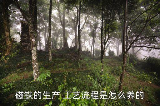 磁鐵的生產(chǎn) 工藝流程是怎么養(yǎng)的