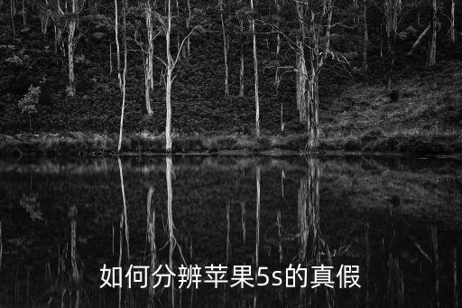 如何分辨蘋果5s的真假