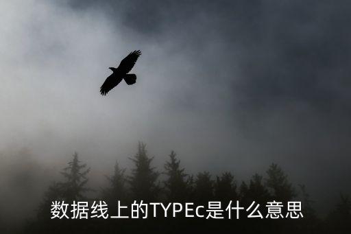  數(shù)據(jù)線上的TYPEc是什么意思