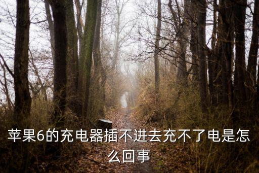 數(shù)據(jù)線插不進(jìn)去了,手機(jī)充電口數(shù)據(jù)線插不進(jìn)去怎么辦