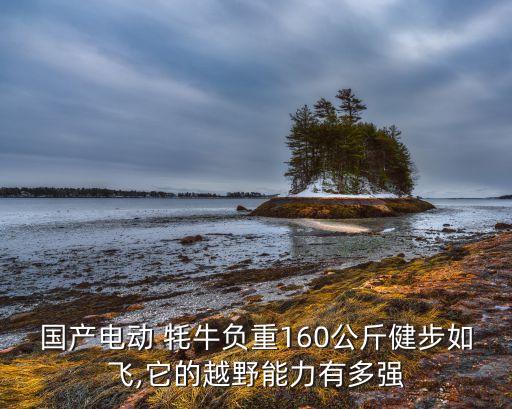 國(guó)產(chǎn)電動(dòng) 牦牛負(fù)重160公斤健步如飛,它的越野能力有多強(qiáng)