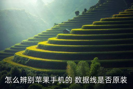 怎么辨別蘋果手機(jī)的 數(shù)據(jù)線是否原裝