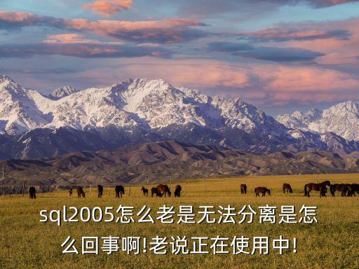 sql2005怎么老是無法分離是怎么回事啊!老說正在使用中!