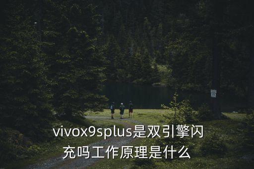 vivox9splus數(shù)據(jù)線,VIVOx9splus刷機(jī)包