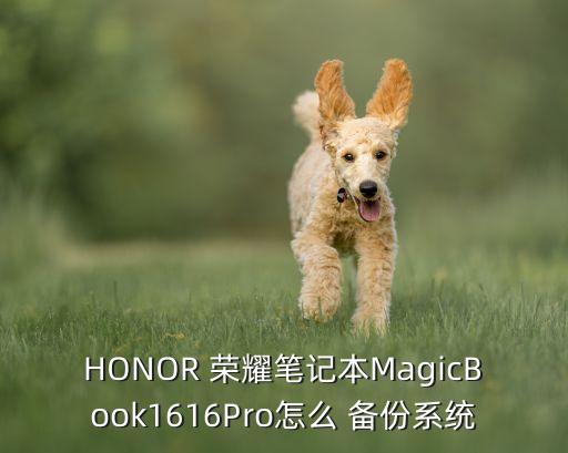 華為榮耀如何備份數(shù)據(jù)