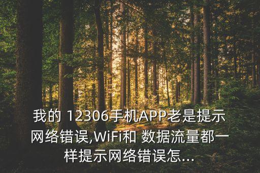 我的 12306手機(jī)APP老是提示網(wǎng)絡(luò)錯(cuò)誤,WiFi和 數(shù)據(jù)流量都一樣提示網(wǎng)絡(luò)錯(cuò)誤怎...