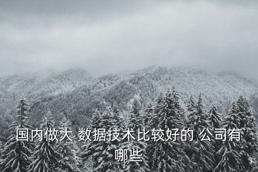 國內(nèi)做大 數(shù)據(jù)技術比較好的 公司有哪些