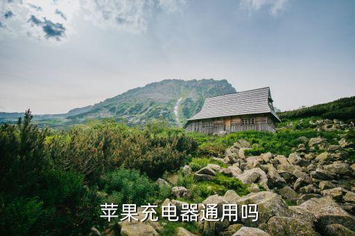 蘋果數據線可以混用嗎