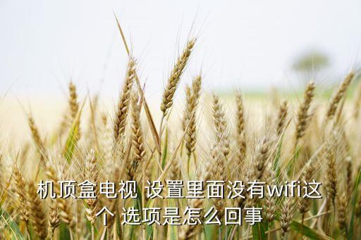 機頂盒電視 設(shè)置里面沒有wifi這個 選項是怎么回事