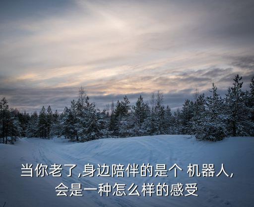 當你老了,身邊陪伴的是個 機器人,會是一種怎么樣的感受