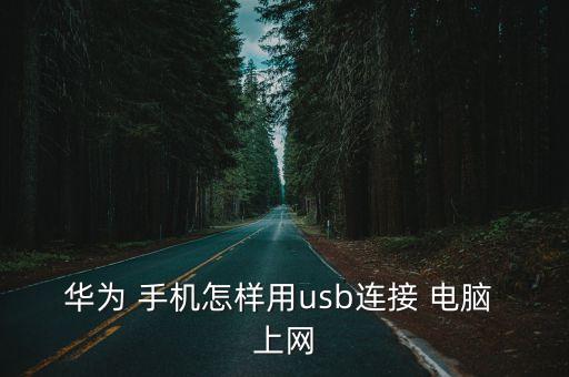 華為 手機怎樣用usb連接 電腦 上網(wǎng)