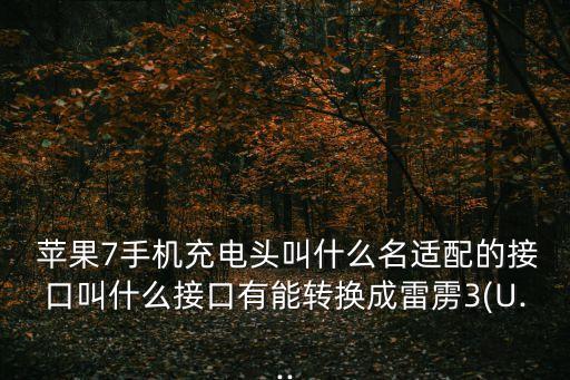  蘋果7手機(jī)充電頭叫什么名適配的接口叫什么接口有能轉(zhuǎn)換成雷靂3(U...
