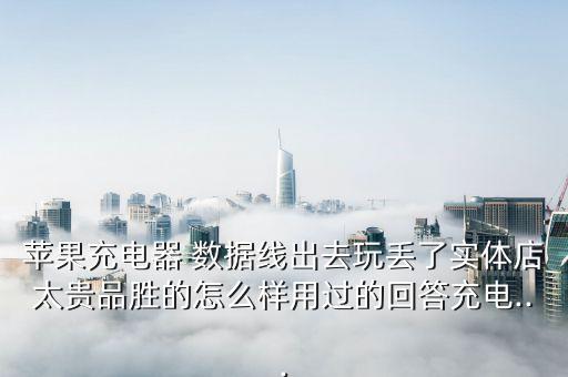 蘋果充電器 數(shù)據(jù)線出去玩丟了實體店太貴品勝的怎么樣用過的回答充電...
