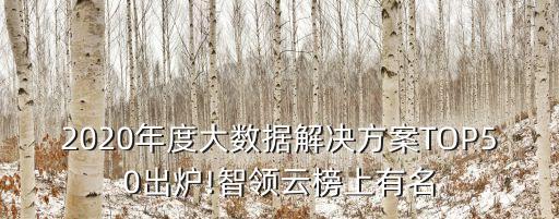2020年度大數(shù)據(jù)解決方案TOP50出爐!智領(lǐng)云榜上有名