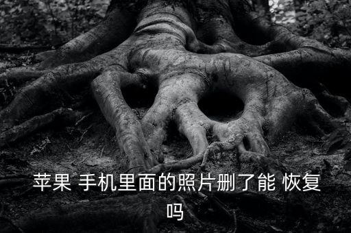 蘋果手機相冊數(shù)據(jù)恢復