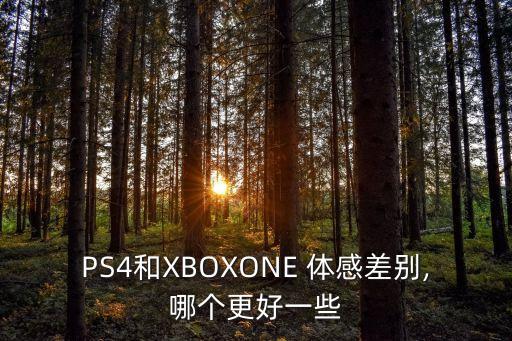 PS4和XBOXONE 體感差別,哪個更好一些