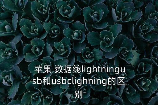  蘋果 數據線lightningusb和usbclighning的區(qū)別