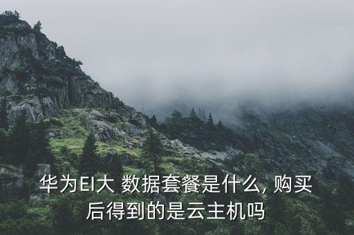 華為EI大 數(shù)據(jù)套餐是什么, 購買后得到的是云主機(jī)嗎