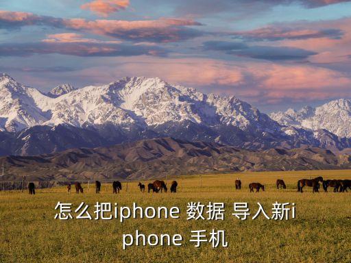 怎么把iphone 數(shù)據(jù) 導(dǎo)入新iphone 手機(jī)