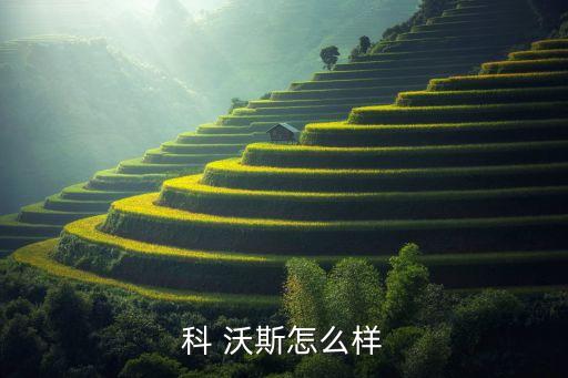 科沃斯家庭機(jī)器人