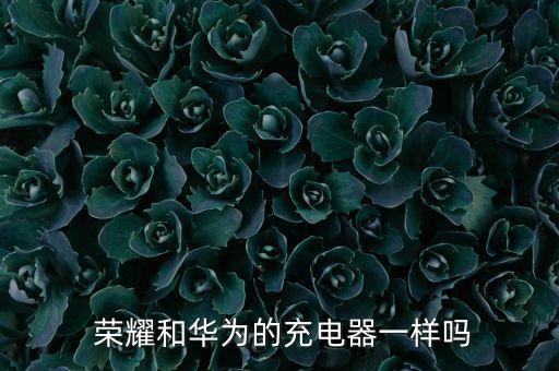  榮耀和華為的充電器一樣嗎