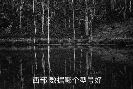  西部 數(shù)據(jù)哪個(gè)型號(hào)好