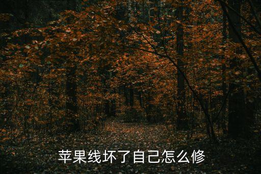  蘋果線壞了自己怎么修