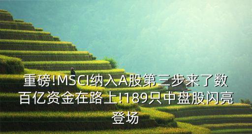 重磅!MSCI納入A股第三步來了數(shù)百億資金在路上!189只中盤股閃亮登場