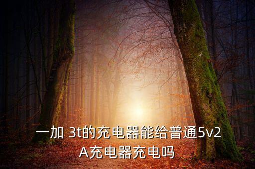  一加 3t的充電器能給普通5v2A充電器充電嗎