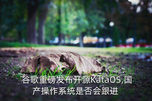 谷歌數(shù)據(jù)中心有多大,谷歌的數(shù)據(jù)中心采取了哪些安全措施