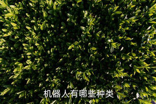 爬樓梯機(jī)器人的種類,別墅爬樓梯掃地機(jī)器人