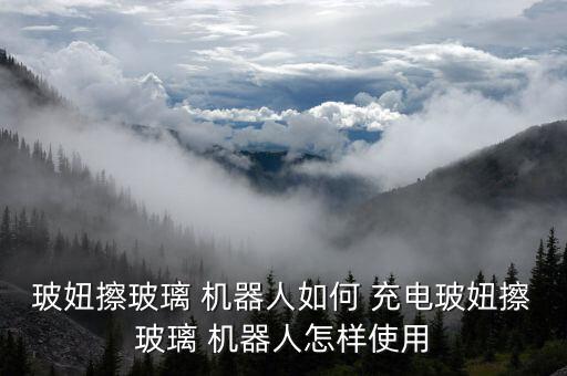 女機器人充電