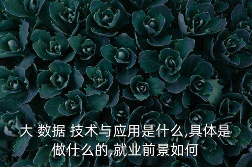 大 數(shù)據(jù) 技術(shù)與應(yīng)用是什么,具體是做什么的,就業(yè)前景如何
