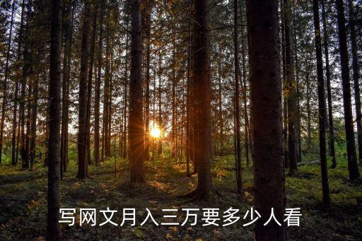 網(wǎng)絡文學的數(shù)據(jù)