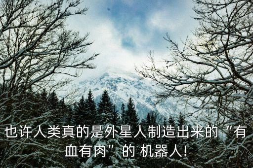創(chuàng)作索菲亞機器人的歷程,機器人索菲亞現(xiàn)在怎么樣了